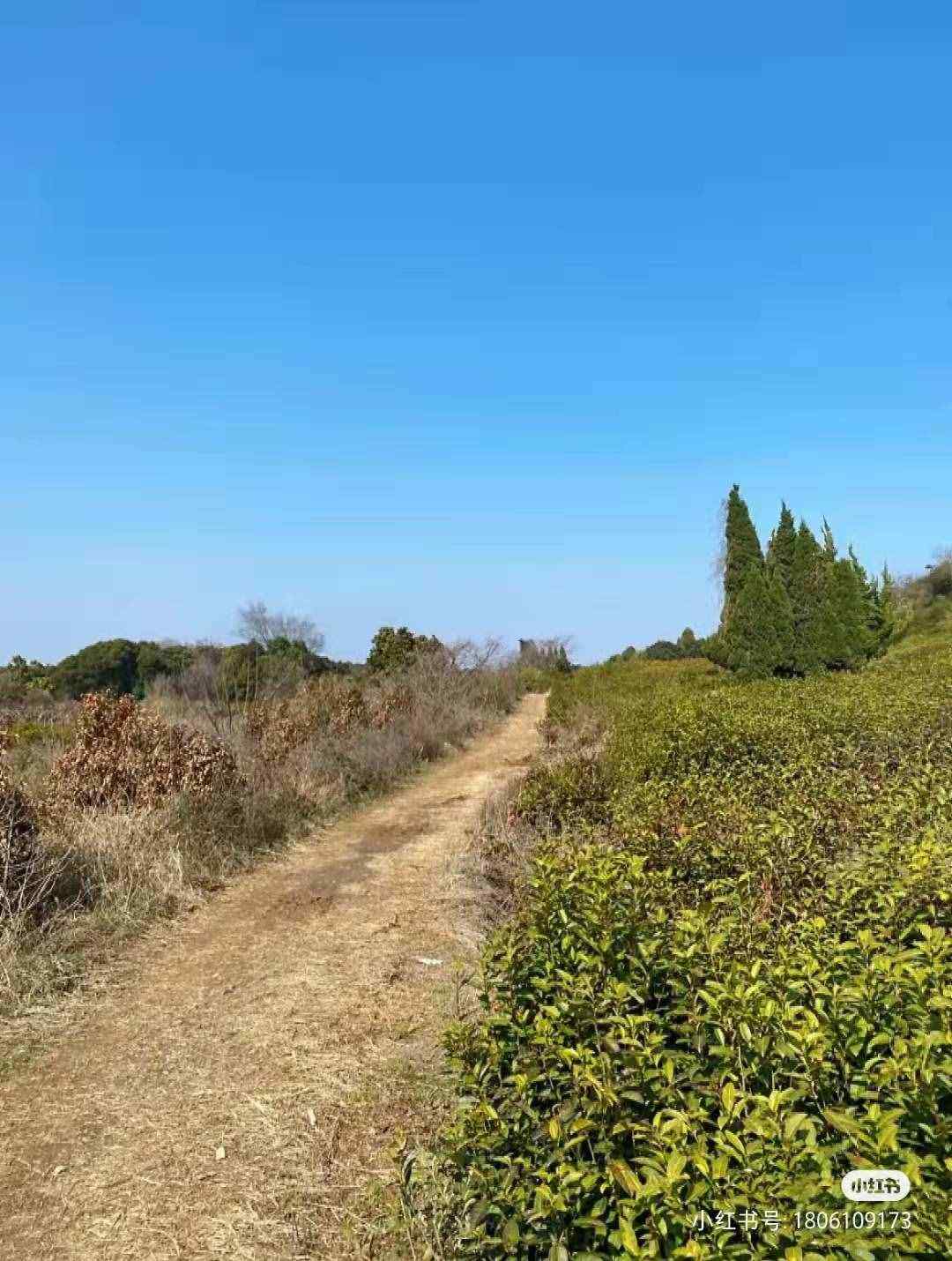 无锡周边徒步线路 仁众推荐|状元古道徒步